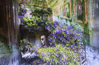 Wisteria Stairs - a Photographic Art Artowrk by ALDO SALUCCI